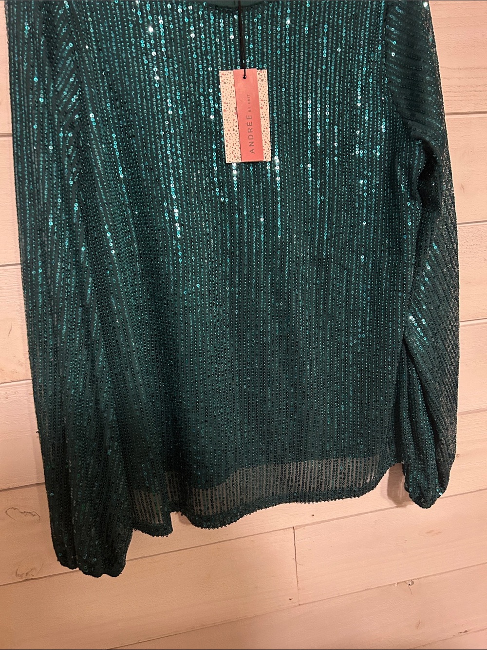Andree Emerald Sequin Pullover Top - Picture 3 of 6